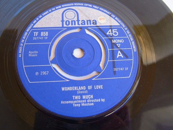 Two Much (4) : Wonderland Of Love (7", Mono)