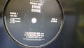 Erire : Shine (12", Promo)