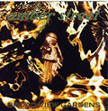 Amber Street : Broad View Gardens (CD)