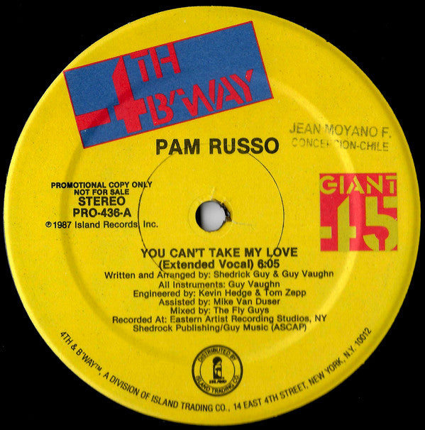 Pam Russo : You Can't Take My Love (12", Promo)