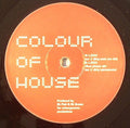 Colour Of House : L.O.V.E (12")