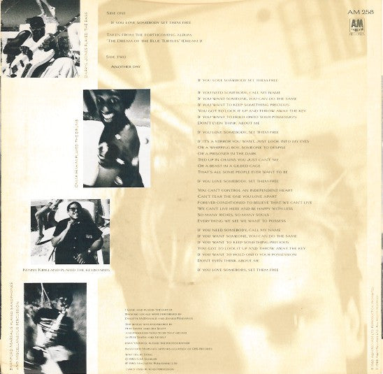 Sting : If You Love Somebody Set Them Free (7", Single)