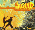 The Flaming Lips : The W.A.N.D. (CD, Single, Promo)