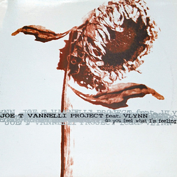 Joe T. Vannelli Project Feat. Vlynn : Do You Feel What I'm Feeling (2x12")