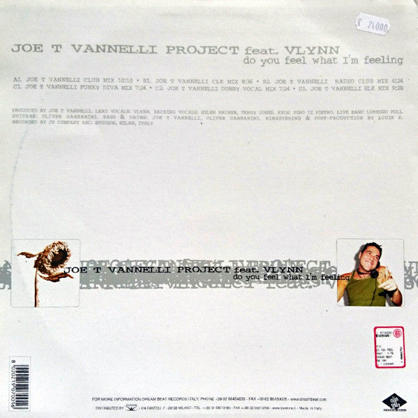 Joe T. Vannelli Project Feat. Vlynn : Do You Feel What I'm Feeling (2x12")