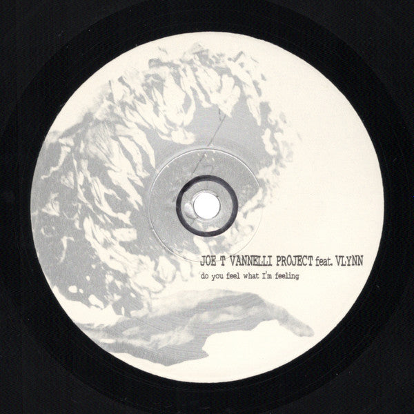 Joe T. Vannelli Project Feat. Vlynn : Do You Feel What I'm Feeling (2x12")