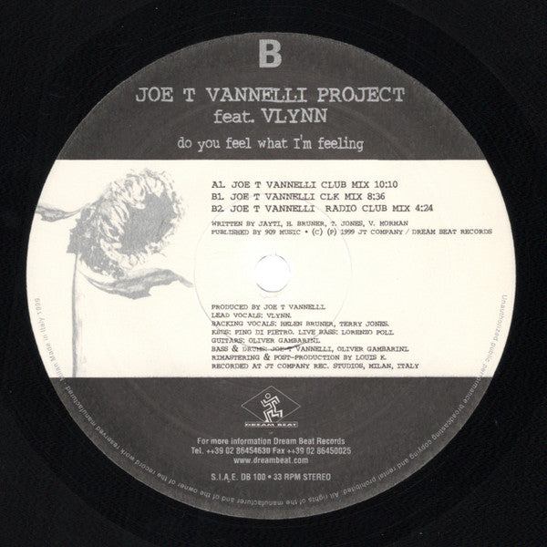 Joe T. Vannelli Project Feat. Vlynn : Do You Feel What I'm Feeling (2x12")