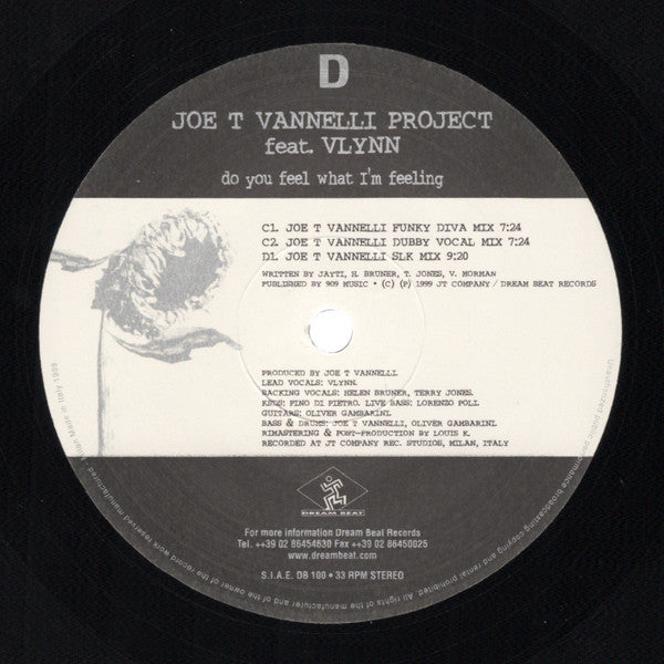 Joe T. Vannelli Project Feat. Vlynn : Do You Feel What I'm Feeling (2x12")