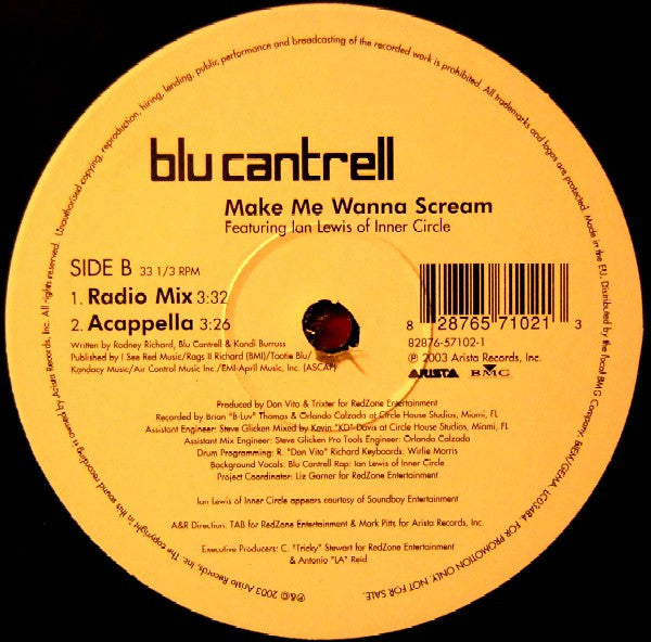 Blu Cantrell Featuring Ian Lewis : Make Me Wanna Scream (12", Single, Promo)