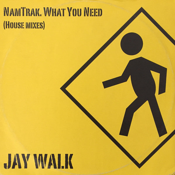 NamTRAK : What You Need (12")
