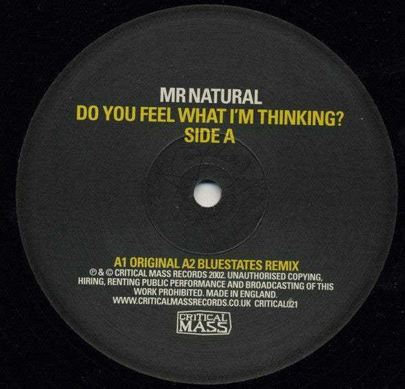 Mr. Natural : Do You Feel What I'm Thinking? (12")