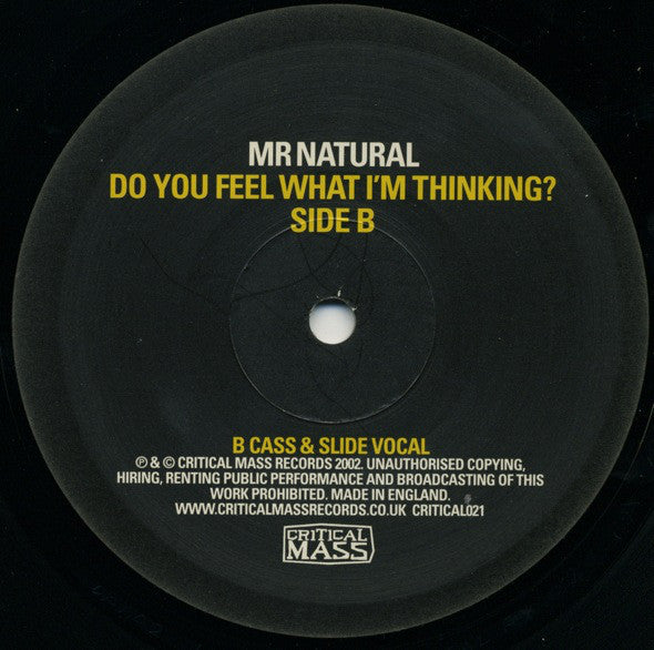 Mr. Natural : Do You Feel What I'm Thinking? (12")