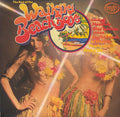 The Waikiki Beach Boys : The Best Of The Waikiki Beach Boys (LP, Comp)