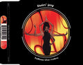 Livin' Joy : Follow The Rules (CD, Maxi)