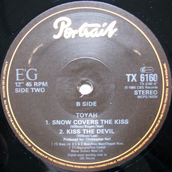 Toyah : Don't Fall In Love (I Said) (12")