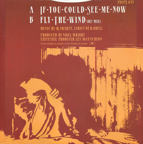 Shakatak : If You Could See Me Now (12", Single)