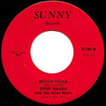 Steve Nagrabski And The Silver Notes : Kazoo Polka (7")