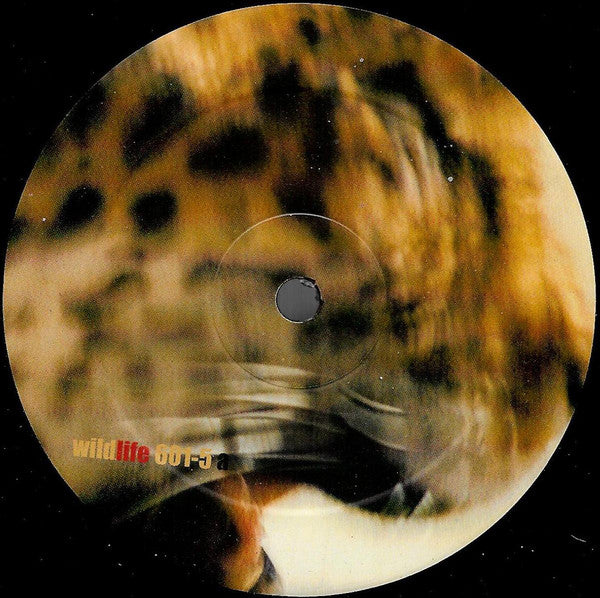 Jaimy & Kenny D. : Keep On Touchin' Me (12")
