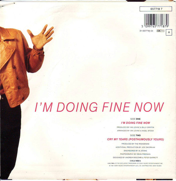 The Pasadenas : I'm Doing Fine Now (7", Single)