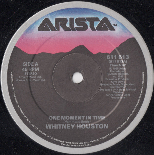 Whitney Houston : One Moment In Time (12", Single)