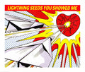 Lightning Seeds : You Showed Me (CD, Single, CD1)