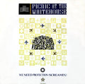 Picnic At The Whitehouse : We Need Protection (Screamix) (12")