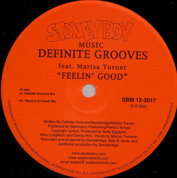 Definite Grooves Feat. Marisa Turner : Feelin' Good (12")