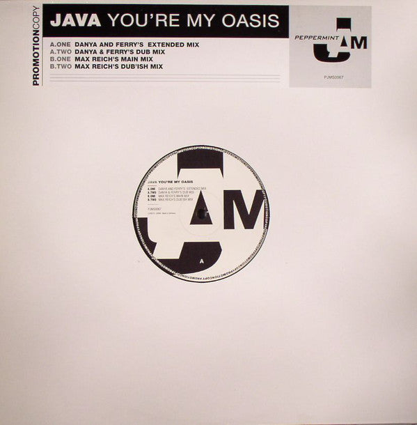 Java (2) : You're My Oasis (12", Promo)