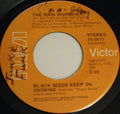 The Main Ingredient : Black Seeds Keep On Growing (7", Single)