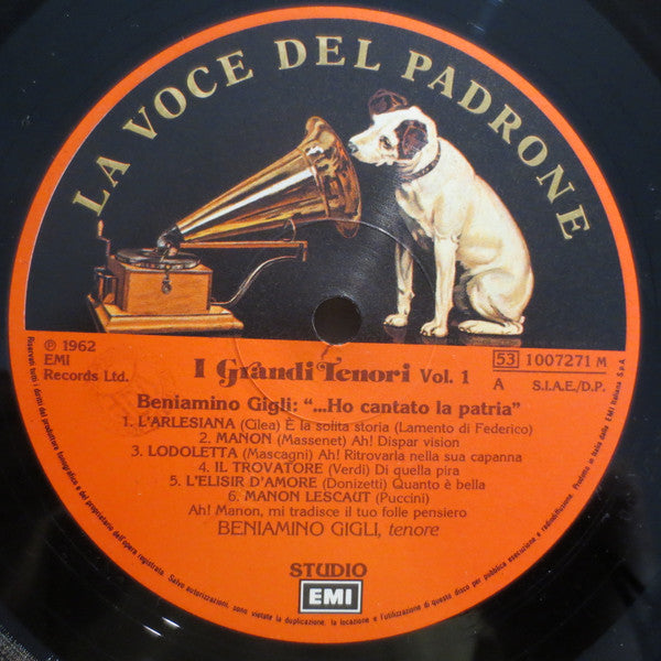 Beniamino Gigli : Ho Cantato La Patria (LP, Comp)