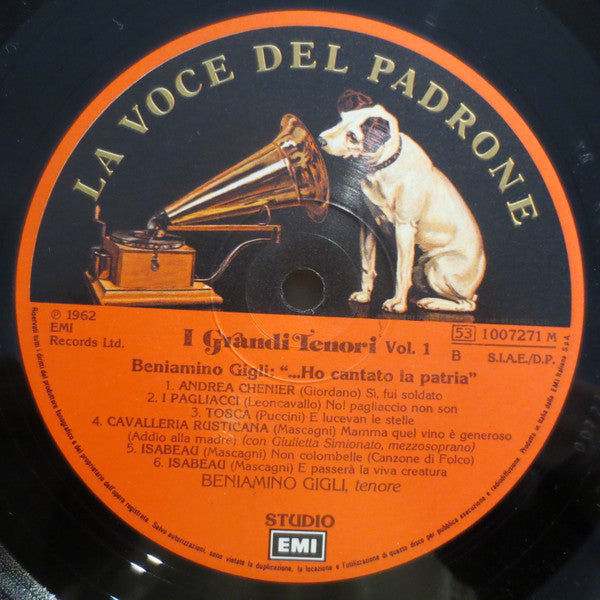 Beniamino Gigli : Ho Cantato La Patria (LP, Comp)