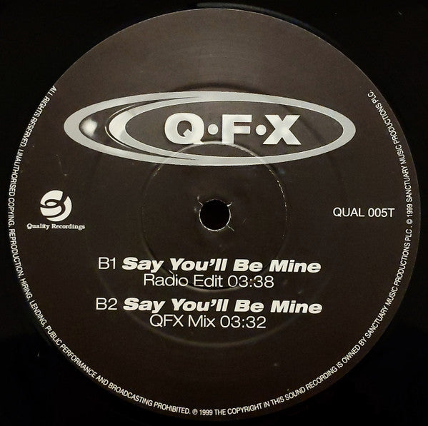 QFX : Say You'll Be Mine (12", Com)
