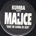 Malice (14) : What We Gonna Do Now (12")