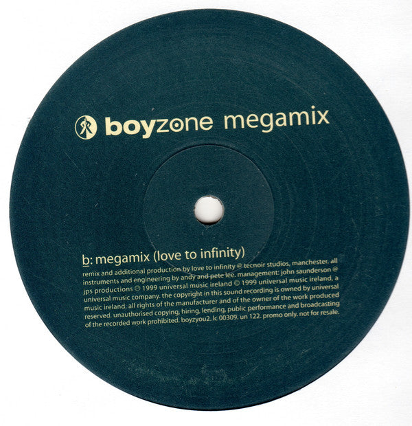Boyzone : You Needed Me (12", Promo)