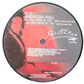 Andricka Hall / Deep Swing : Stay Inside My Life / Shelter (Remixes) (12")