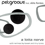 Petgroove Feat. Alda Fontes : A Lotta Nerve (12")