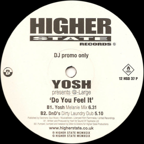 Yosh Presents @-Large : Do You Feel It (2x12", Promo)