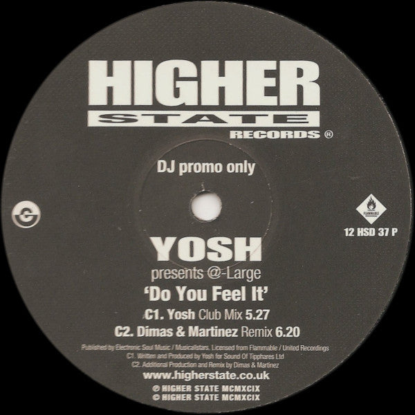 Yosh Presents @-Large : Do You Feel It (2x12", Promo)