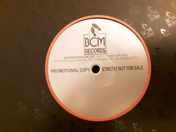 Raúl Orellana : The Real Wild House (12", S/Sided, Promo)
