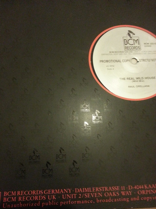 Raúl Orellana : The Real Wild House (12", S/Sided, Promo)