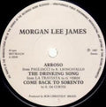 Morgan Lee James : Arroso (7", EP, Single)