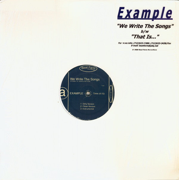 Example (2) : We Write The Songs b/w That Is... (12")