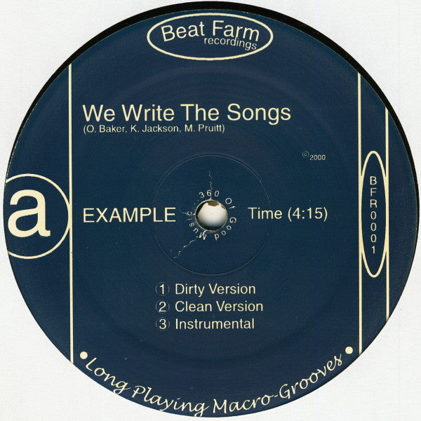 Example (2) : We Write The Songs b/w That Is... (12")