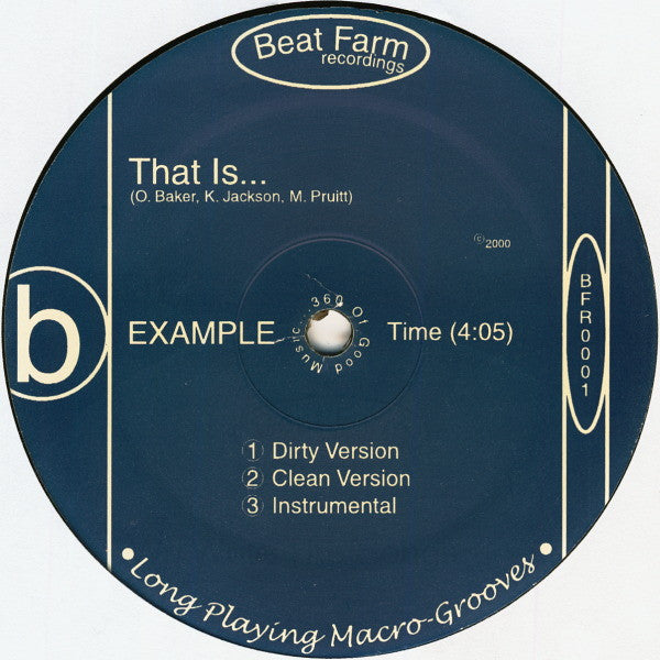 Example (2) : We Write The Songs b/w That Is... (12")