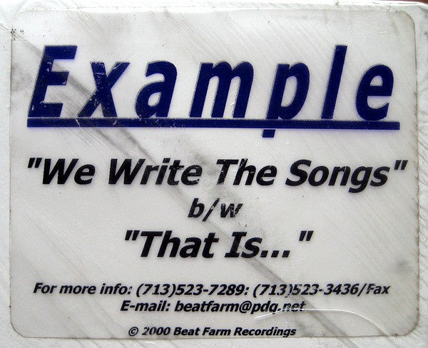 Example (2) : We Write The Songs b/w That Is... (12")