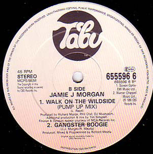 Jamie J. Morgan : Walk On The Wild Side (12")