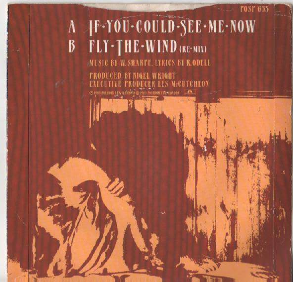 Shakatak : If You Could See Me Now (7")
