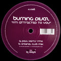 Burning Divas : I'm Attracted To You (12")