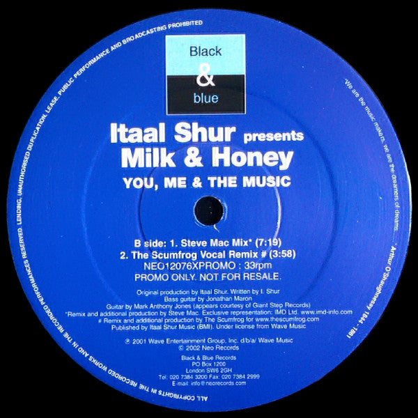 Itaal Shur Presents Milk & Honey : You, Me & The Music (12")