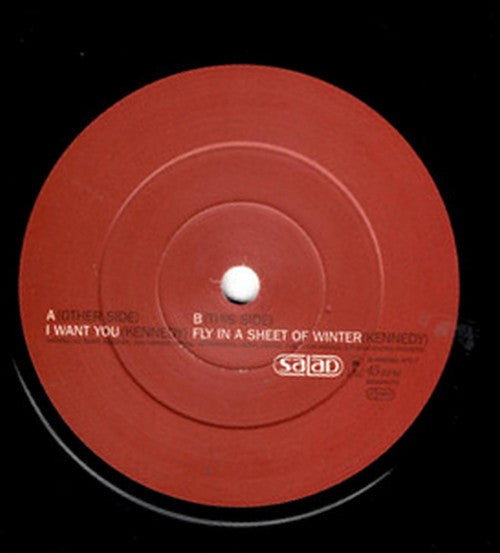 Salad : I Want You (7", Single)